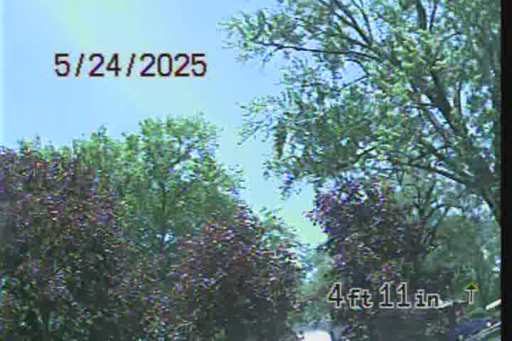Frame